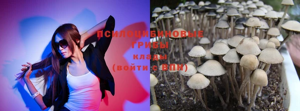 2c-b Абдулино