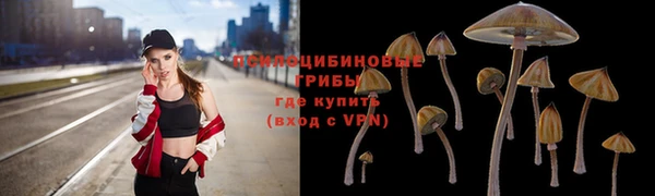 2c-b Абдулино
