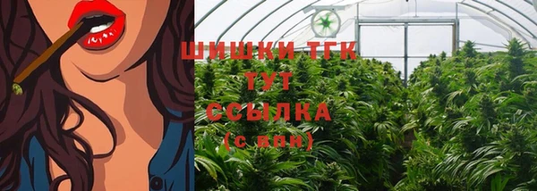 прущий лед Абаза