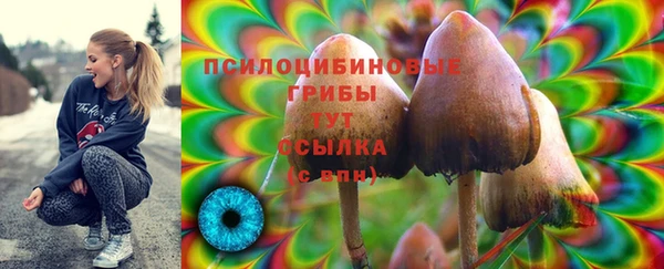 2c-b Абдулино