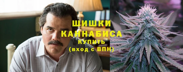 прущий лед Абаза